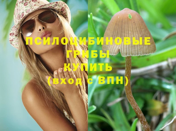 молекула духа Алексеевка