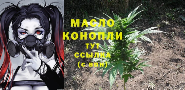 молекула духа Алексин