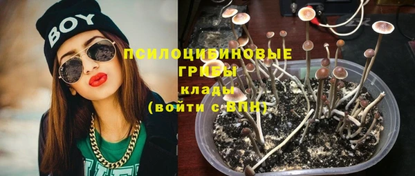 герыч Алзамай